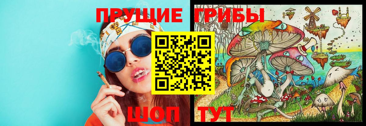 Тара  Псилоцибиновые грибы MAGIC MUSHROOMS  Вход с VPN 