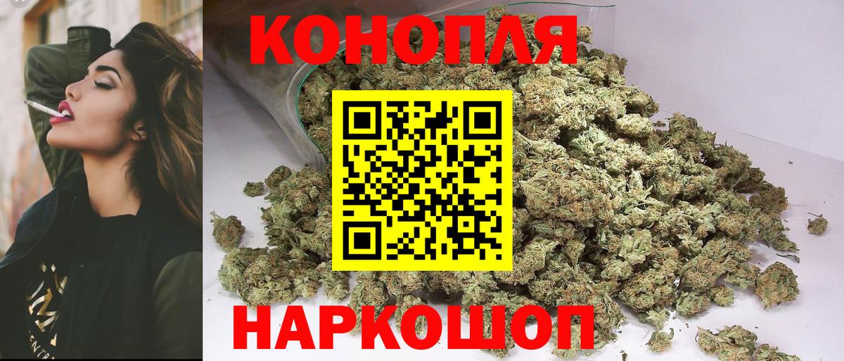 Тара  Шишки марихуана конопля  Каннабис планчик  Бошки Шишки ГИДРОПОН  МАРИХУАНА конопля  Вход с VPN 